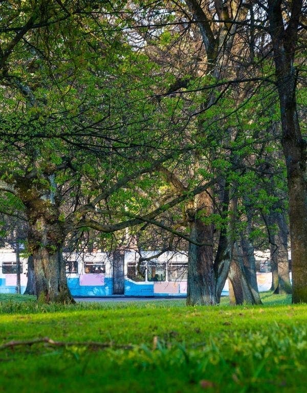 Professionell städning utomhus